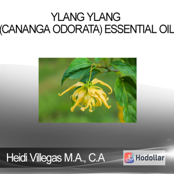 Heidi Villegas M.A. C.A - Ylang Ylang (Cananga odorata) Essential Oil