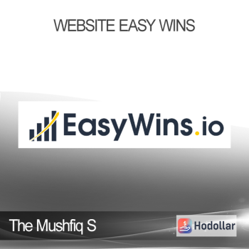 The Mushfiq S - Website Easy Wins