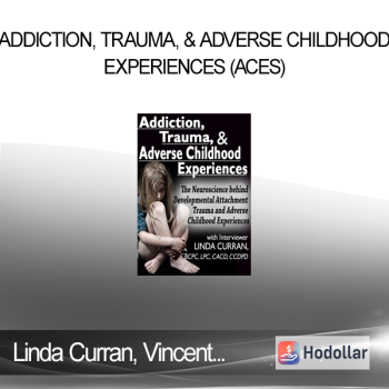 Linda Curran Vincent Felitti Gabor Maté Louis Cozolino Bessel van der Kolk James W. Hopper Lance Dodes Lisa Ferentz .... - Addiction Trauma & Adverse Childhood Experiences (ACEs): The Neuroscience behind Developmental/Attachment Trauma and Adverse Childhood Experiences.