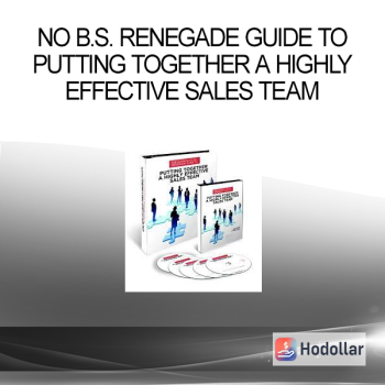 No B.S. Renegade Guide To Putting Together A Highly Effective Sales Team