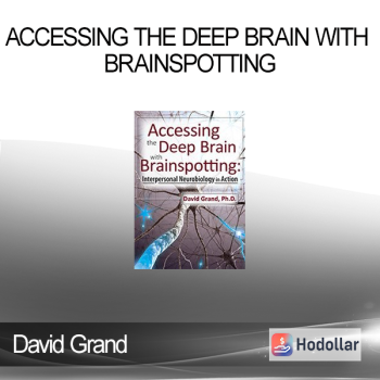 David Grand - Accessing the Deep Brain with Brainspotting: Interpersonal Neurobiology in Action with David Grand Ph.D.