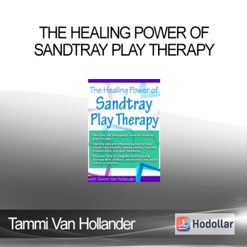 Tammi Van Hollander - The Healing Power of Sandtray Play Therapy