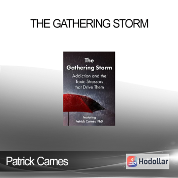 Patrick Carnes - The Gathering Storm: Addiction and the Toxic Stressors that Drive Them