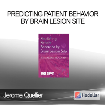 Jerome Quellier - Predicting Patient Behavior by Brain Lesion Site