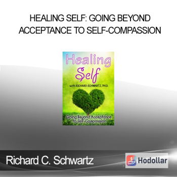 Richard C. Schwartz - Healing Self: Going Beyond Acceptance to Self-Compassion