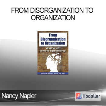 Nancy Napier - From Disorganization to Organization: Working with Somatic Experiencing®