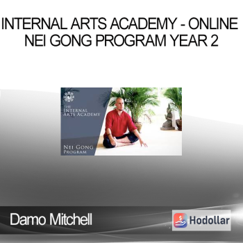 Damo Mitchell - Internal Arts Academy - Online Nei Gong Program Year 2