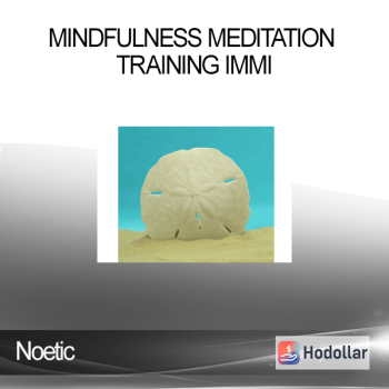 Noetic - Mindfulness Meditation Training IMMI