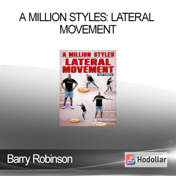 Barry Robinson - A MILLION STYLES: LATERAL MOVEMENT