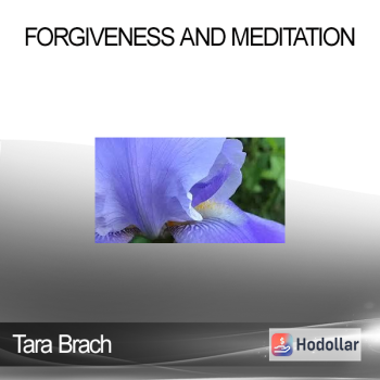 Tara Brach - Forgiveness and Meditation